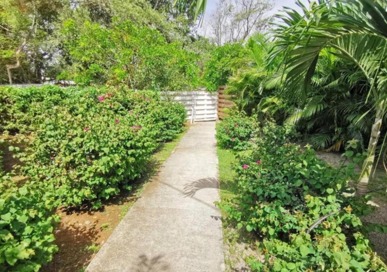Villa Cocotier A 50 Metres De La Plage Le Diamant Bagian luar foto